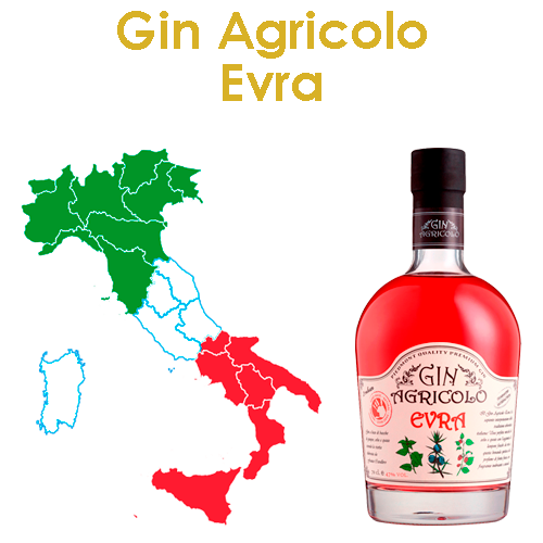 Gin Fruity, the predominant note of wild berries is combined with the austerity of juniper, the freshness deriving from mint and cardamom completes the aromatic picture. The soft and enveloping taste of red fruits is strengthened in its complexity by vanilla and cocoa.