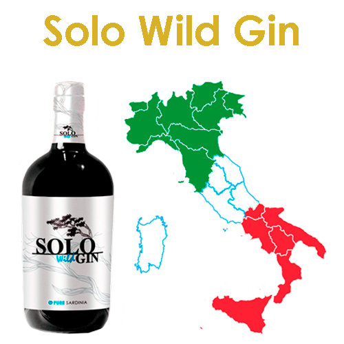 Gin distilled with only wild Sardinian juniper berries. The nose reveals a scent of resin, pine needles, Mediterranean scrub, salt. On the palate it is "oily", soft, slightly savory. Leave the mouth clean and neutral.